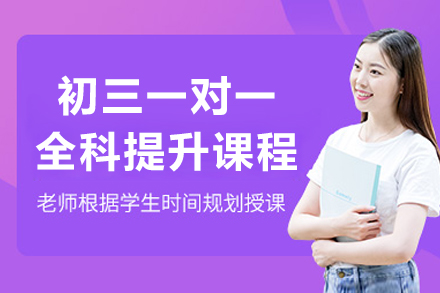 初三全科(ke)一(yi)對一(yi)提升課程(cheng)