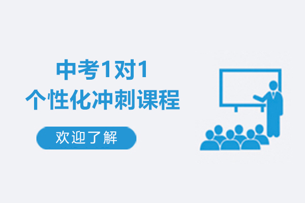 上海中(zhong)考1對1箇(ge)性化沖刺課程(cheng)-精(jīng)銳教育