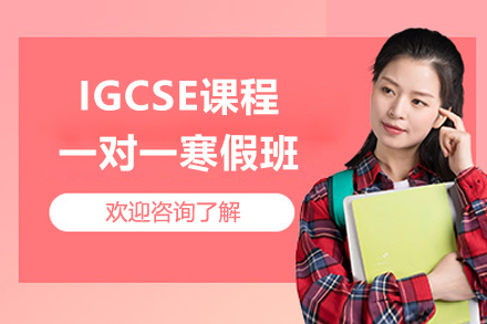 上海IGCSE課程(cheng)一(yi)對一(yi)寒假班
