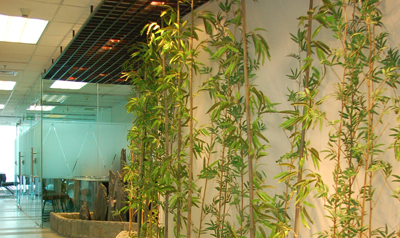 上海櫻花(huā)日(ri)語_環境優(you)美