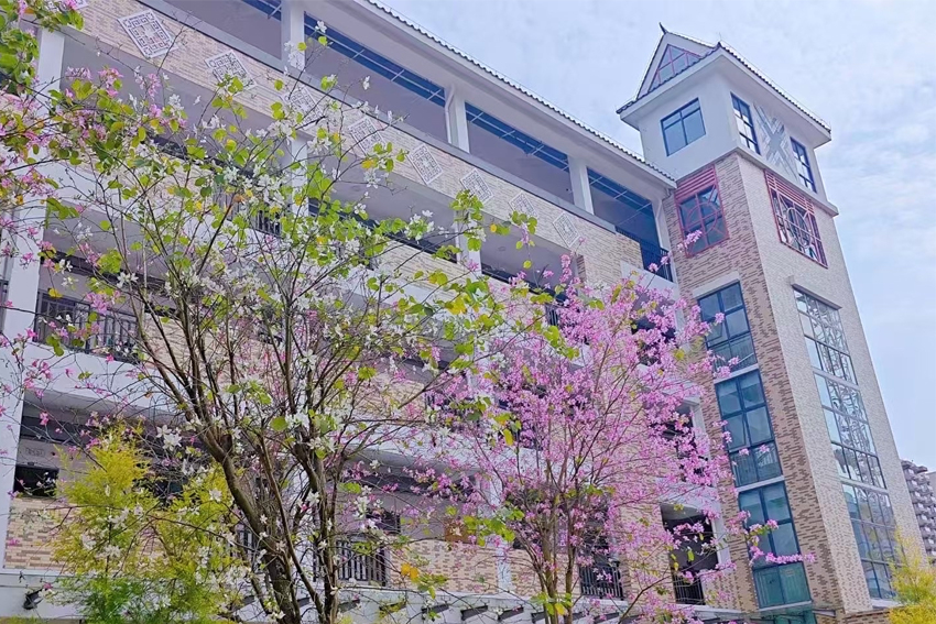 學(xué)校環境相冊圖片